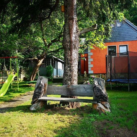 Ferienhaus Franz - An Der Elbe, Mit Grossem Garten Villa Pirna Esterno foto