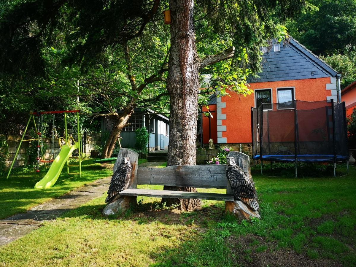 Ferienhaus Franz - An Der Elbe, Mit Grossem Garten Pirna Esterno foto