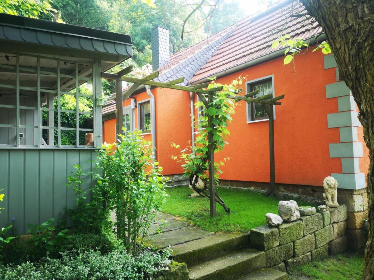 Ferienhaus Franz - An Der Elbe, Mit Grossem Garten Pirna Esterno foto