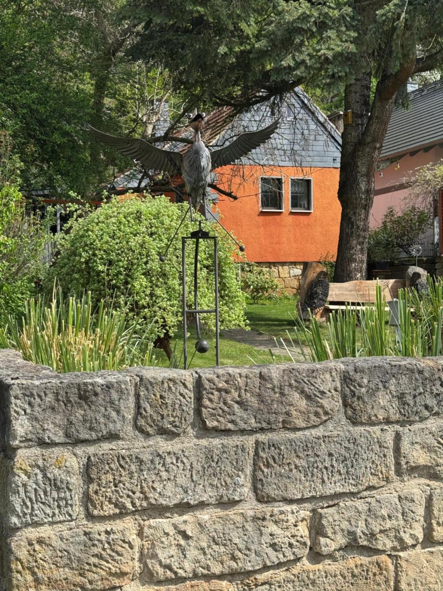 Ferienhaus Franz - An Der Elbe, Mit Grossem Garten Pirna Esterno foto