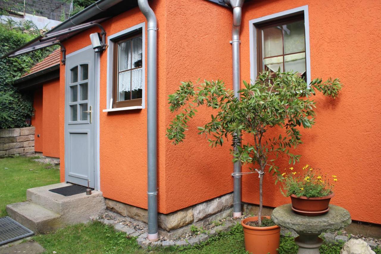 Ferienhaus Franz - An Der Elbe, Mit Grossem Garten Pirna Esterno foto