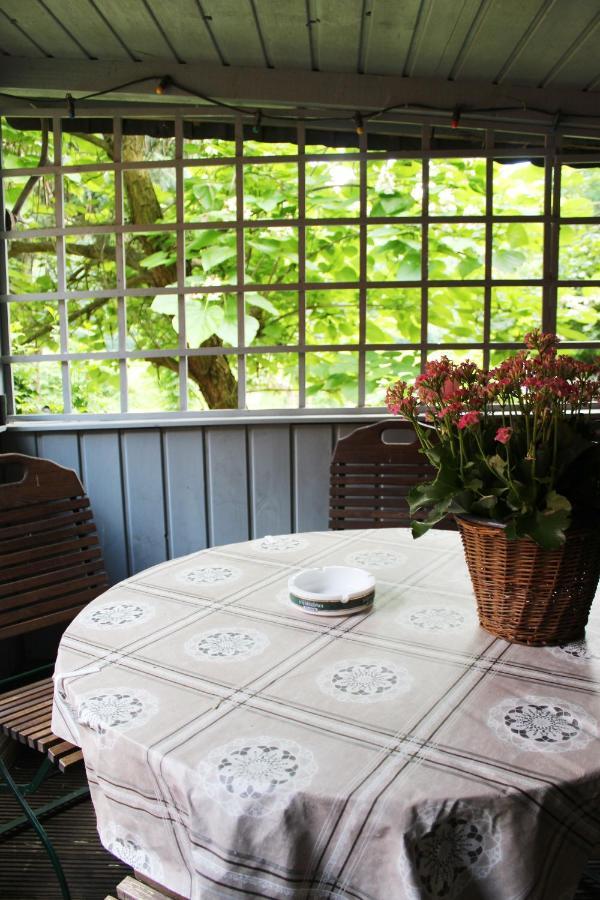 Ferienhaus Franz - An Der Elbe, Mit Grossem Garten Pirna Esterno foto
